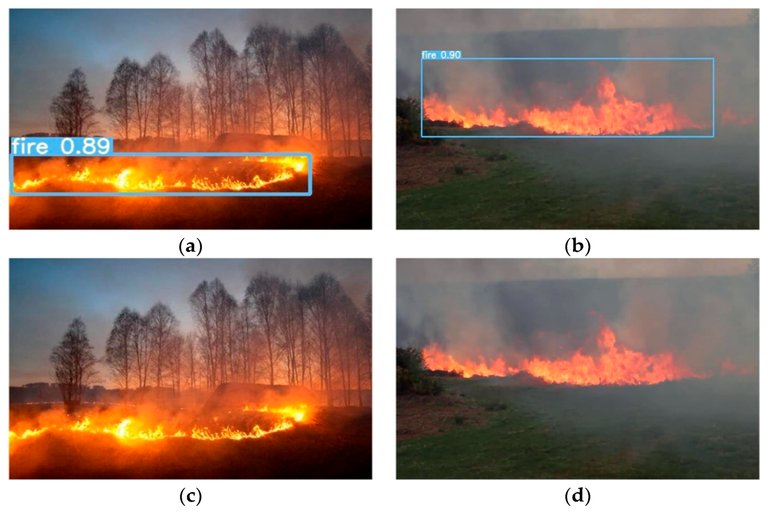 Canadian Startup Develops AI Tool to Predict Forest Fires
