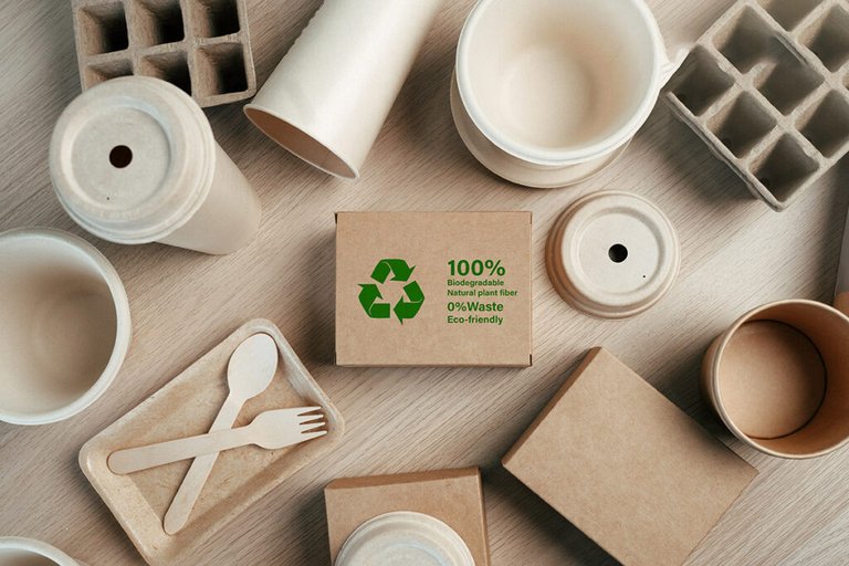Biodegradable Packaging Startups Gain Ground in Vancouver